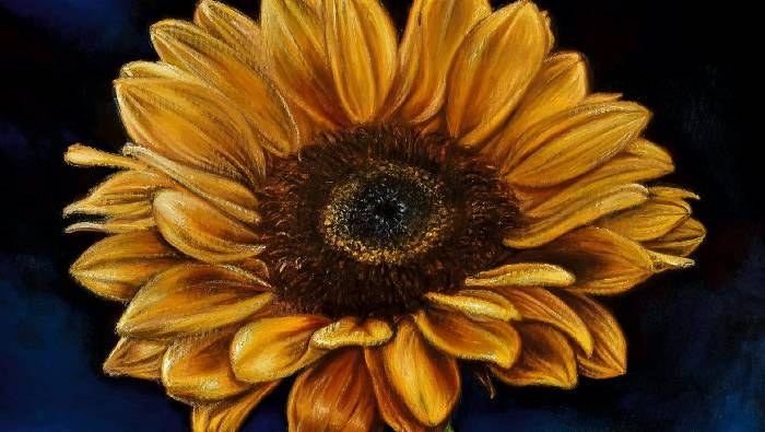 Fiori in canto