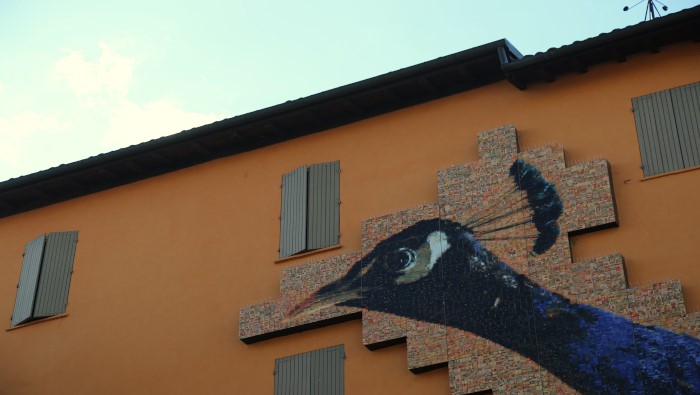 Immagine