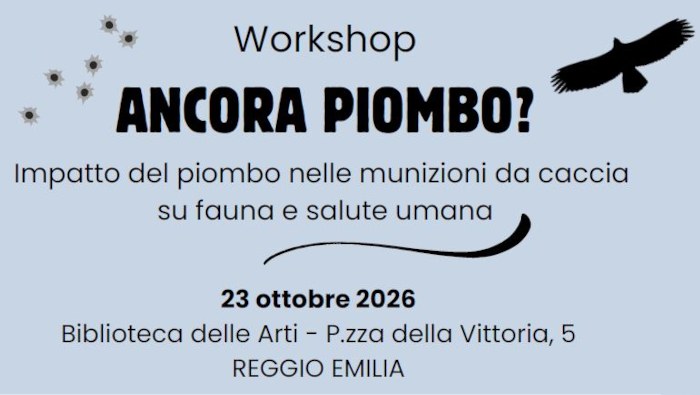 Workshop "Ancora piombo?"